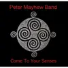 Peter Mayhew Band - Come to Your Senses